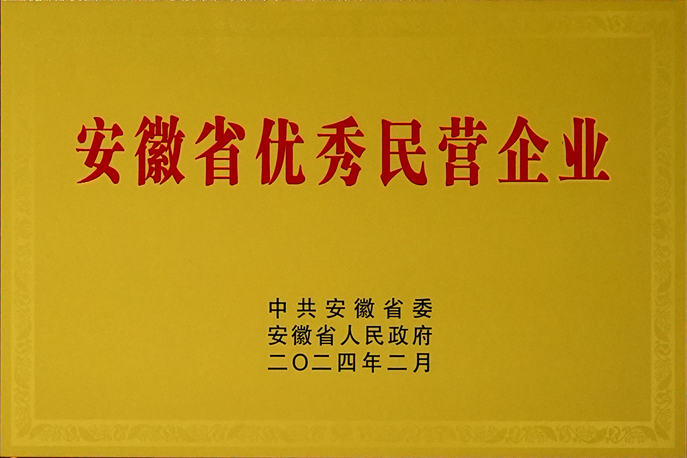 安徽省新春**會，豪家股份榮獲“安徽省百名優(yōu)秀民營企業(yè)”稱號